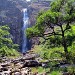 Cachoeira Casca Danta